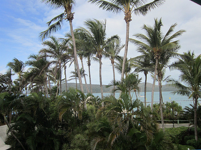 The view from our window