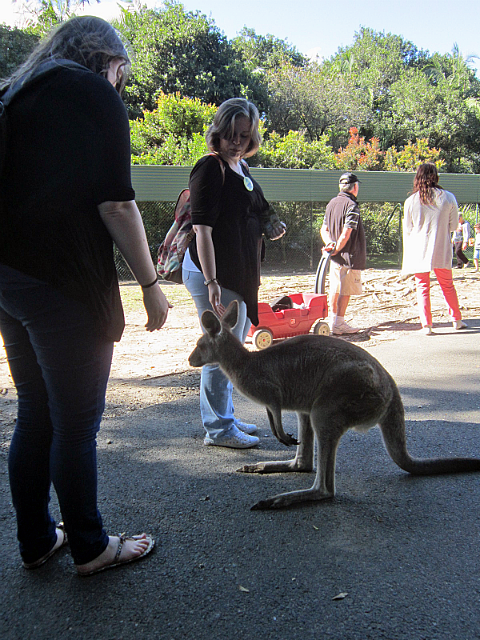 Katherine and Jo with a kangaroo
