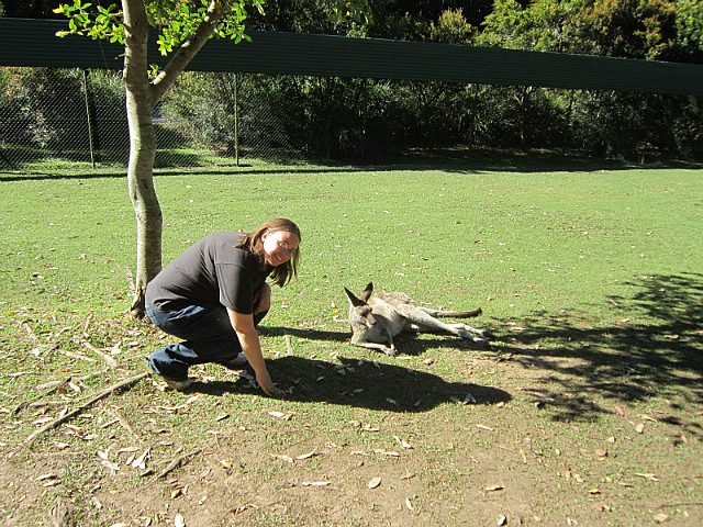 Me with a kangaroo