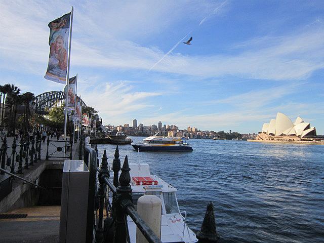 One last picture of the opera house and the bridge