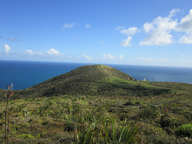 Cape Reinga