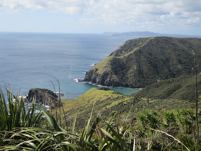 Cape Reinga