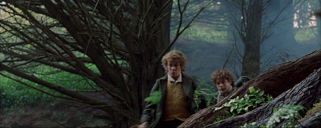 I Think We Should Get Off The Road