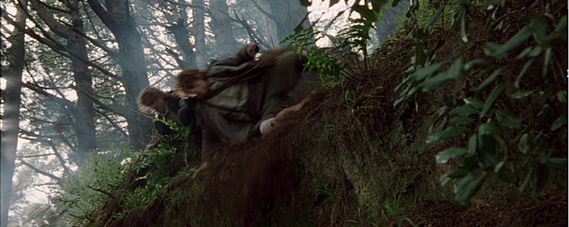 A Shortcut to Mushrooms