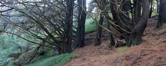 I Think We Should Get Off The Road