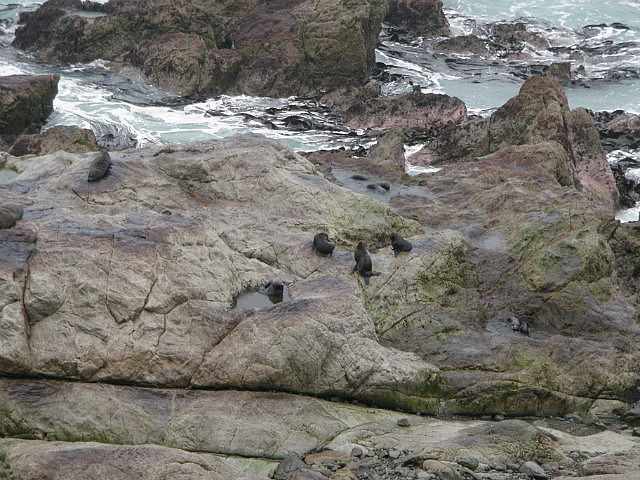 Seals