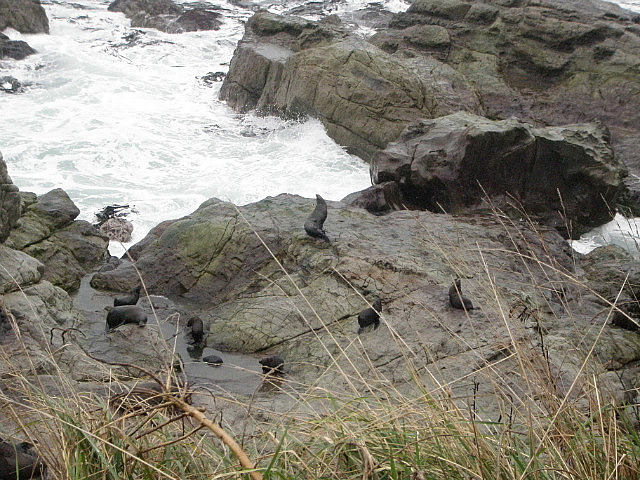 Seals