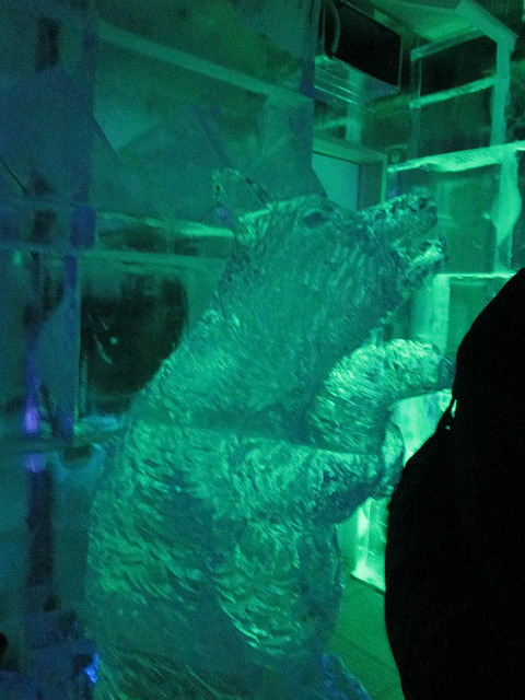 Minus 5 Ice Bar