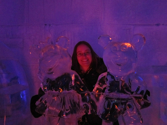 Minus 5 Ice Bar