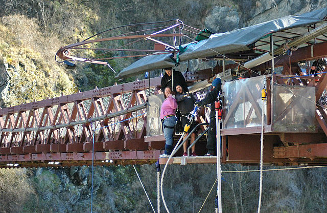 Bungy