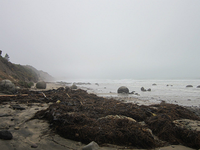 Moeraki Boulders