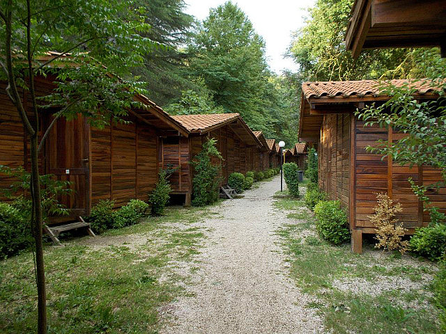 The Cabins