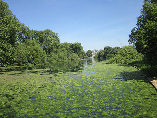 St. James's Park